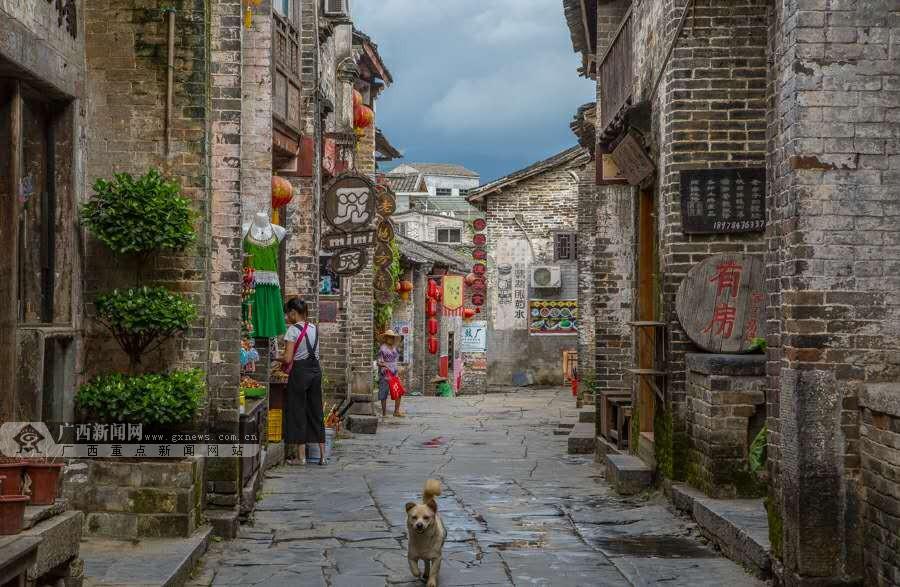 小猪佩奇饲养员